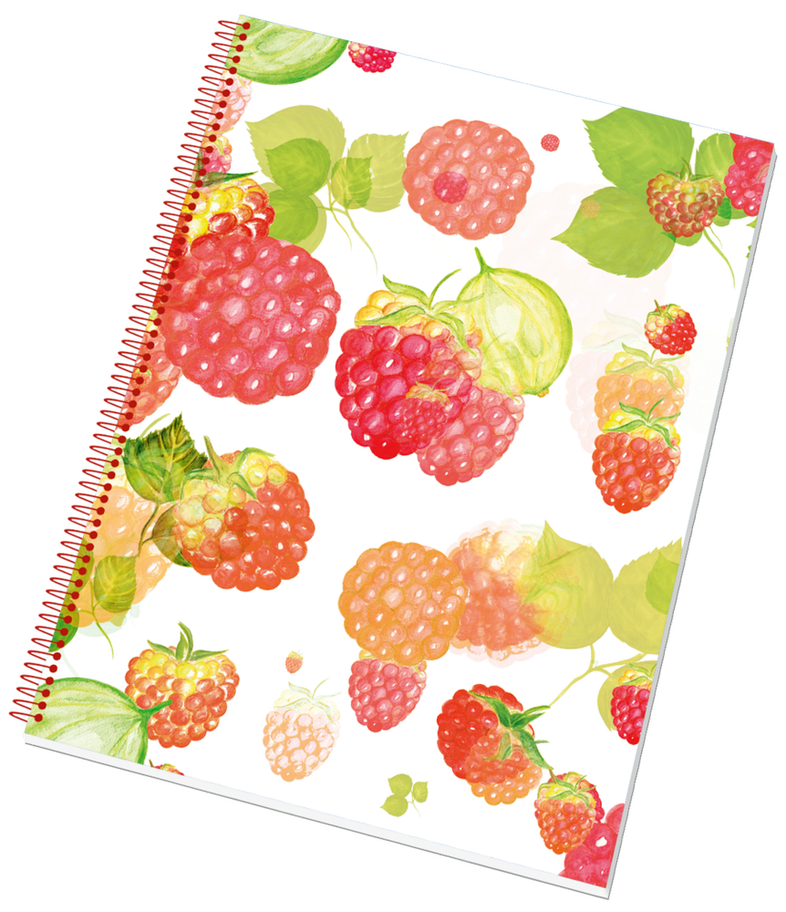 PAPÍRNY BRNO blok kroužkový s boční spirálou COLLEGE A4 linkovaný, 50 listů