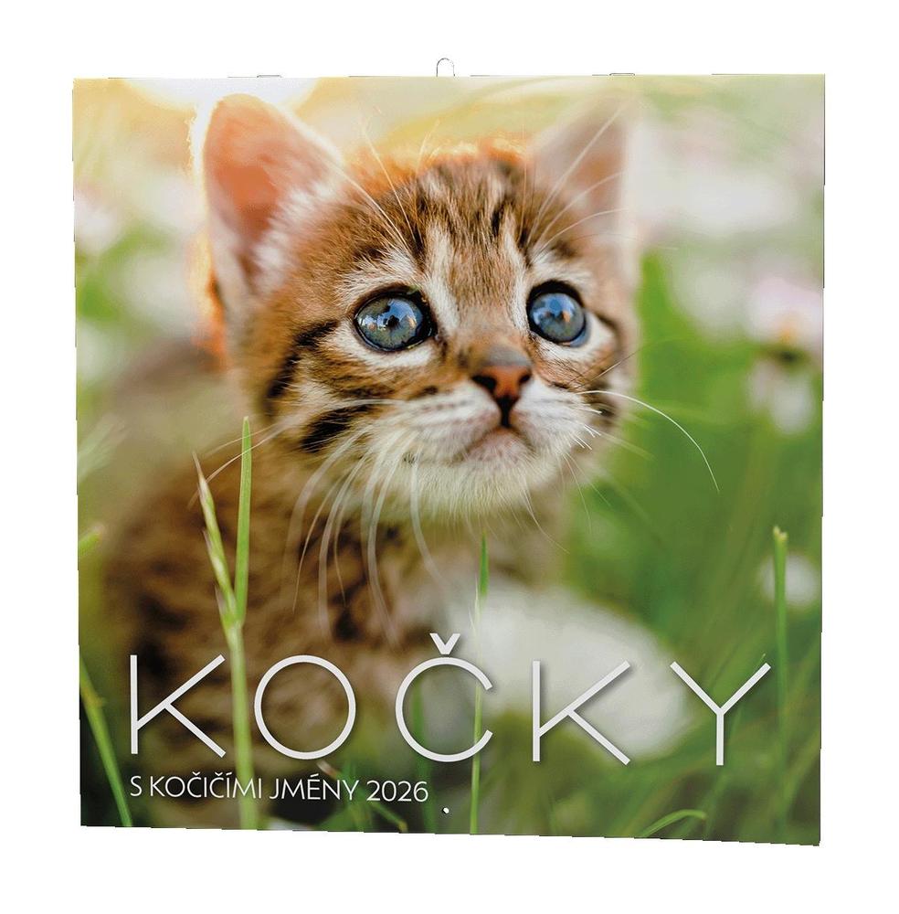 Baloušek Tisk kalendář nástěnný LP Kočky