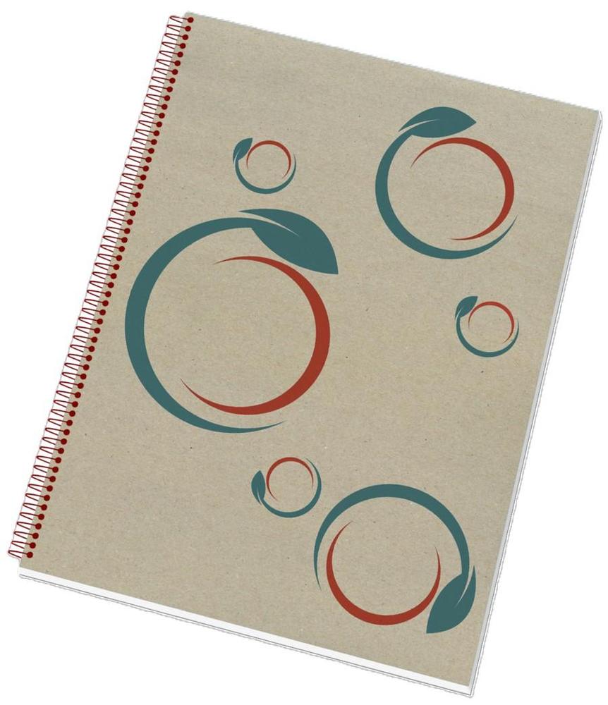 PAPÍRNY BRNO blok kroužkový s boční spirálou COLLEGE A4 linkovaný EKO