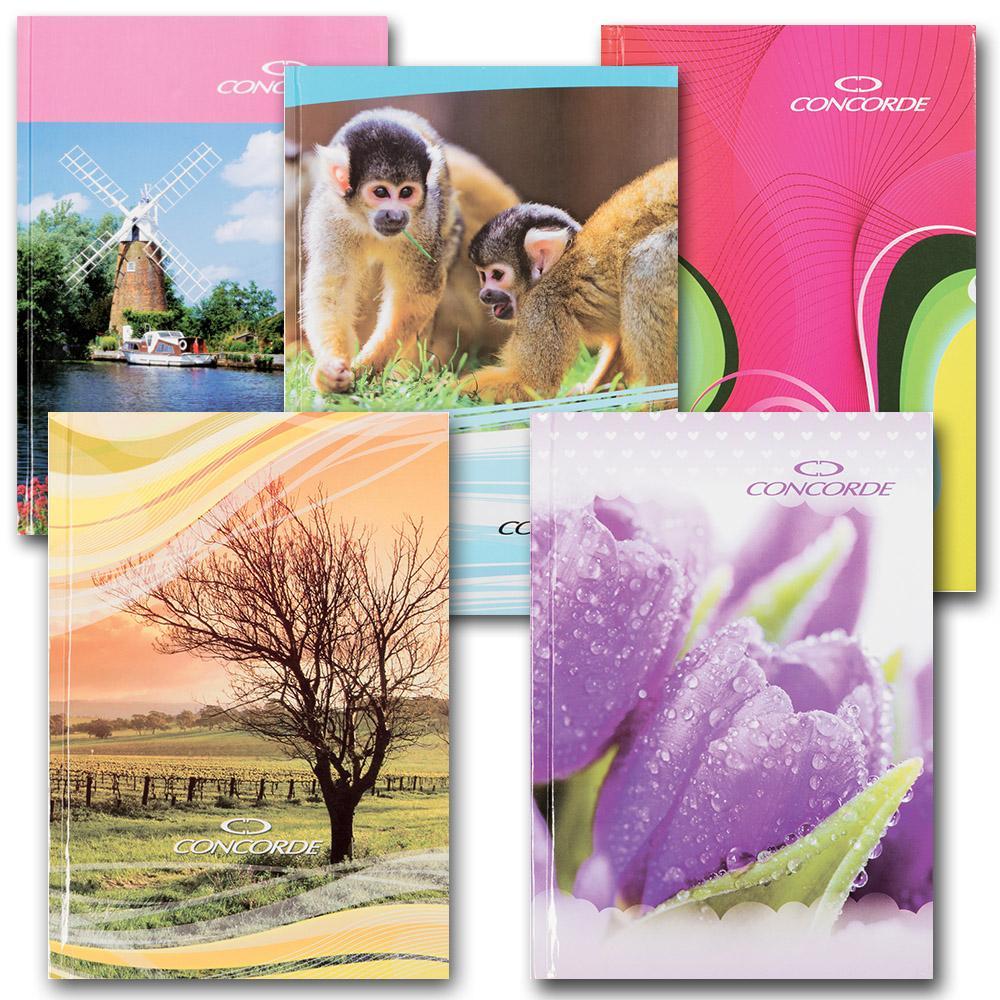 Záznamní kniha A5 linkovaná, 96 listů