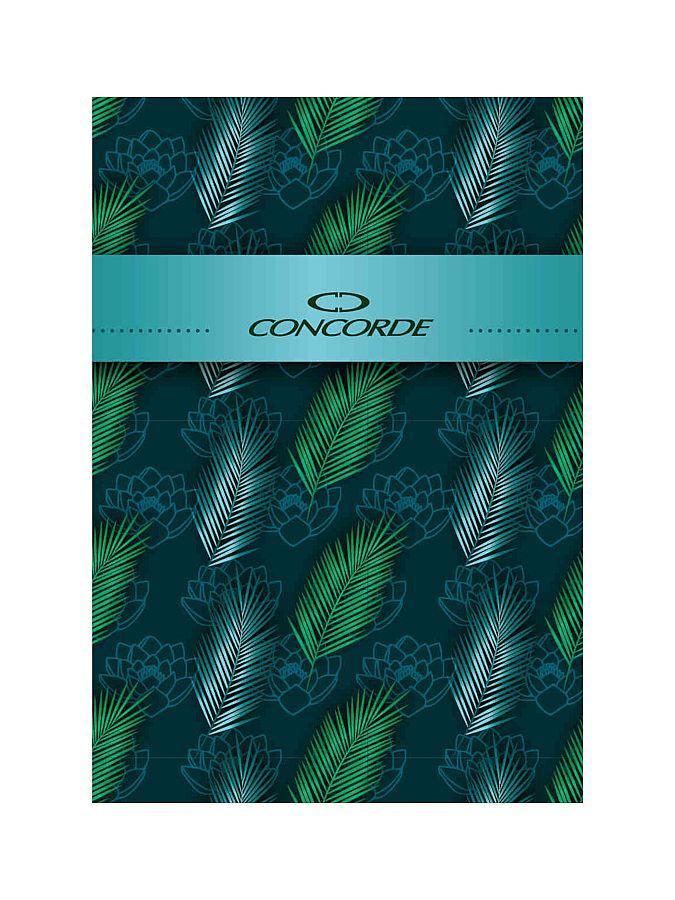 Záznamní kniha A5 linkovaná, 100 listů