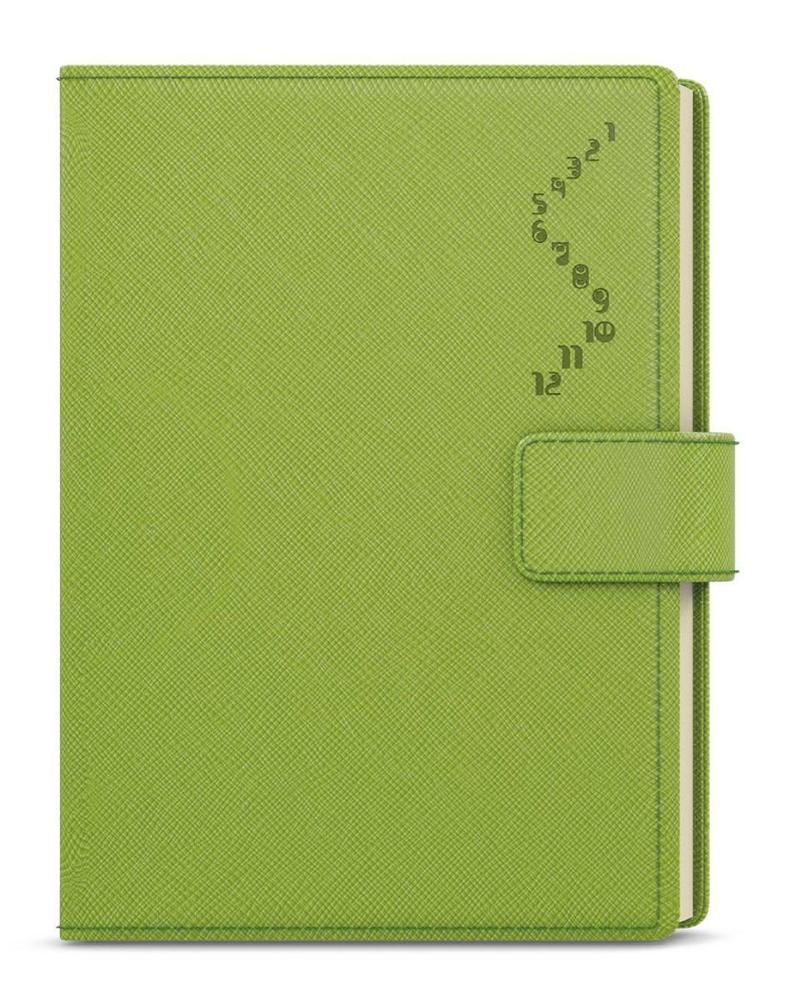 Baloušek Tisk diář denní Ctirad s výsekem krémový papír Manager color A5 zelený