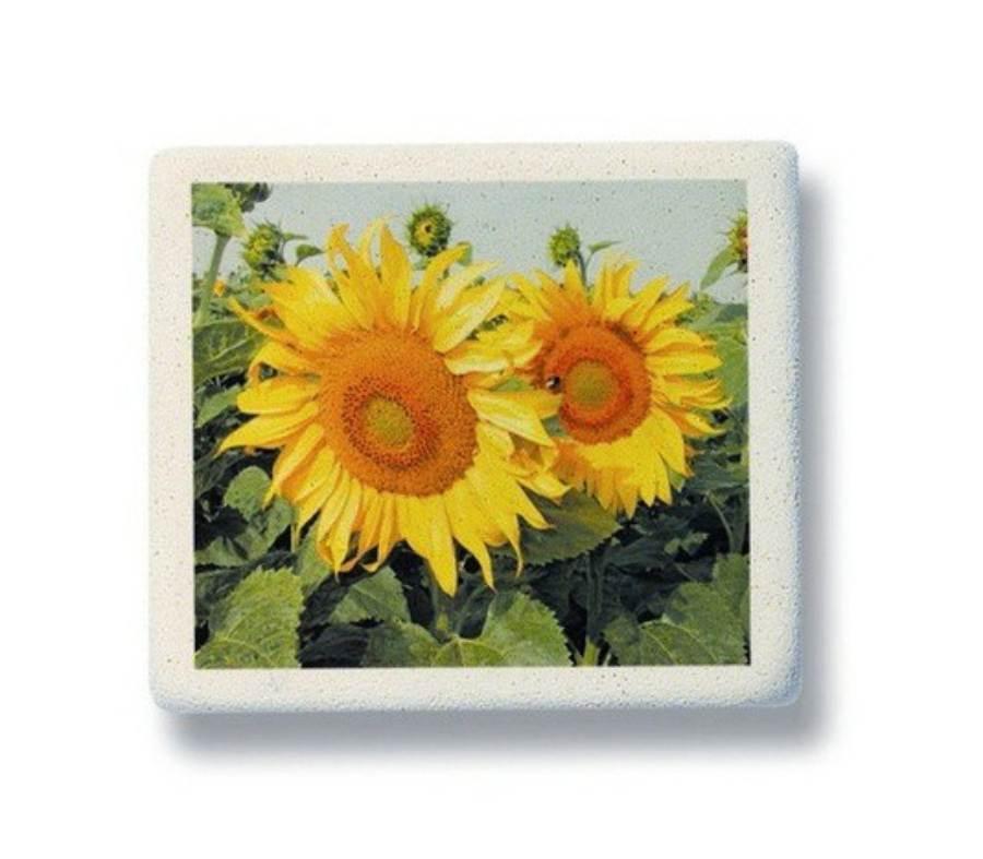 Koh-i-noor pryž KIN 0300/20 BAR.POTISK Barevný potisk