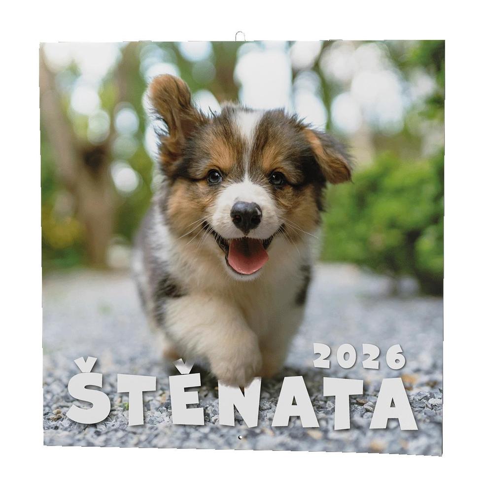 Baloušek Tisk kalendář nástěnný LP Štěňata