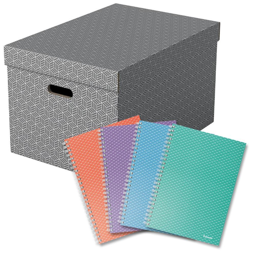 Esselte box úložný Home velký, šedý, 2 x sada 3 ks + blok Colour Breeze