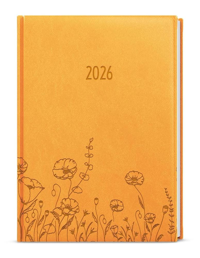 Baloušek Tisk diář týdenní Prokop Vivella s ražbou B6 okrový - Louka