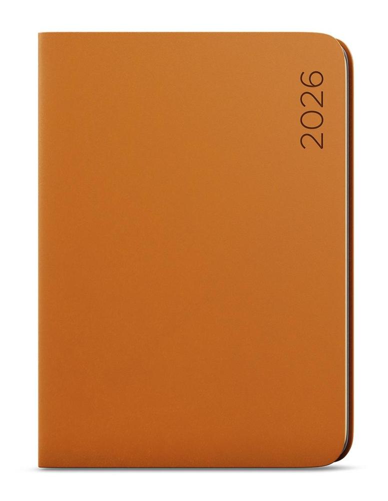 Baloušek Tisk diář denní David Nuba A5 písková