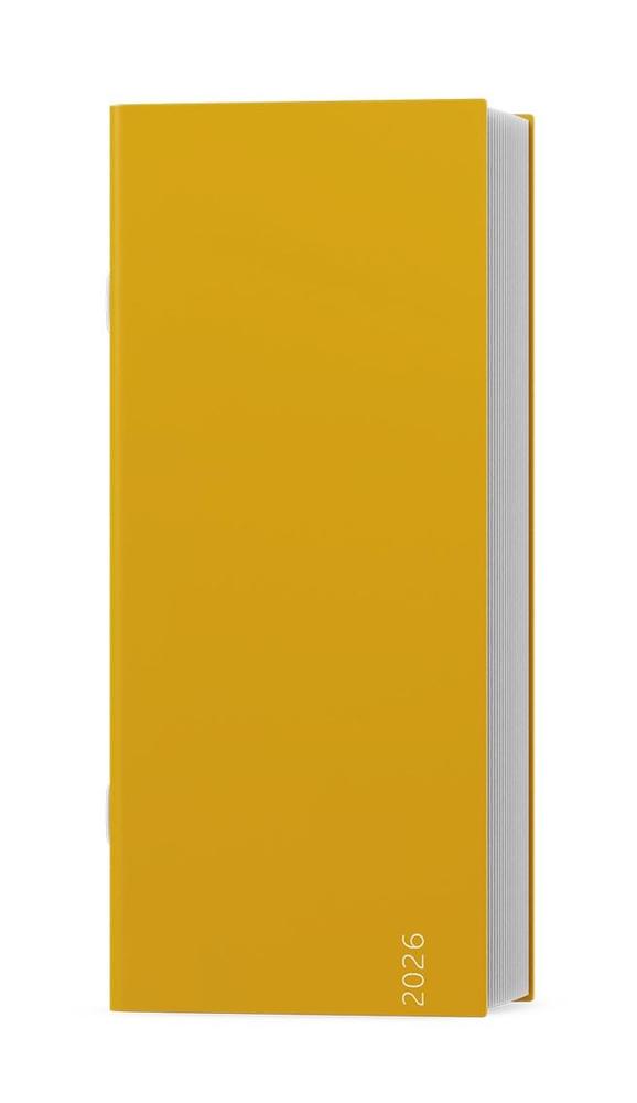 Baloušek Tisk diář měsíční Božka Color okrová