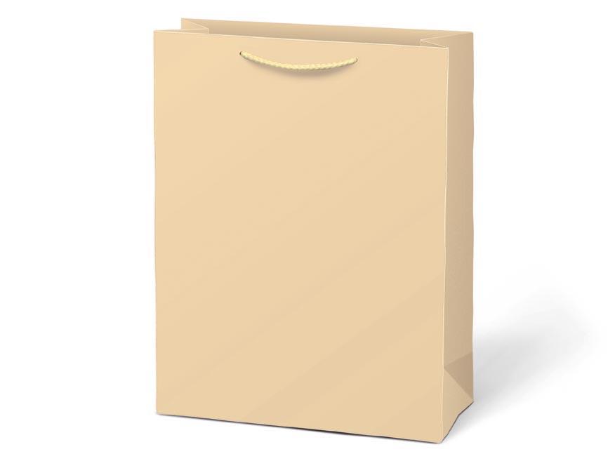 MFP taška dárková T 5 kraft 260x320x100 béžová