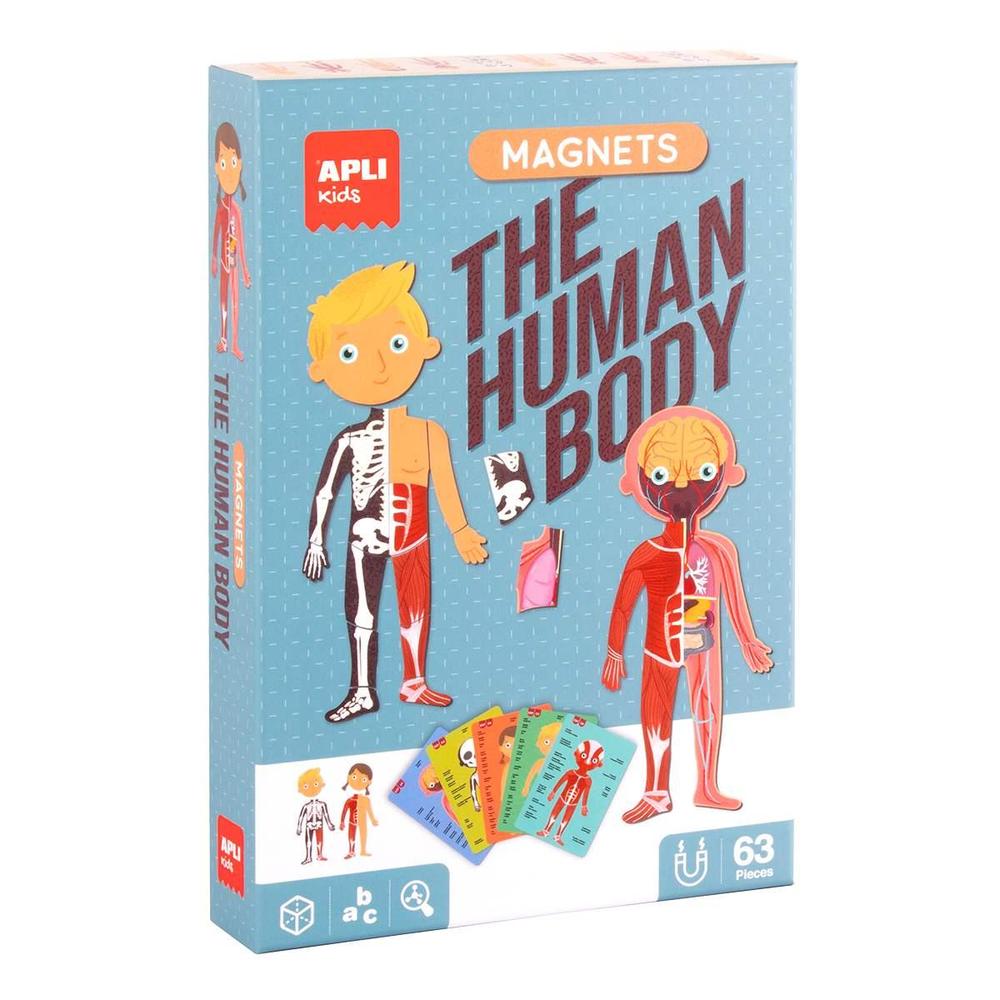 Apli edukační hra s magnety 5+ Lidské tělo
