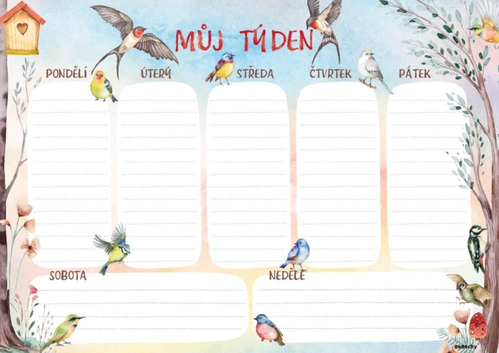 Baloušek Tisk týdenní plánovač A4 - Ptáčci